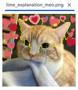 Kết quả bản đồ giải thích LIME