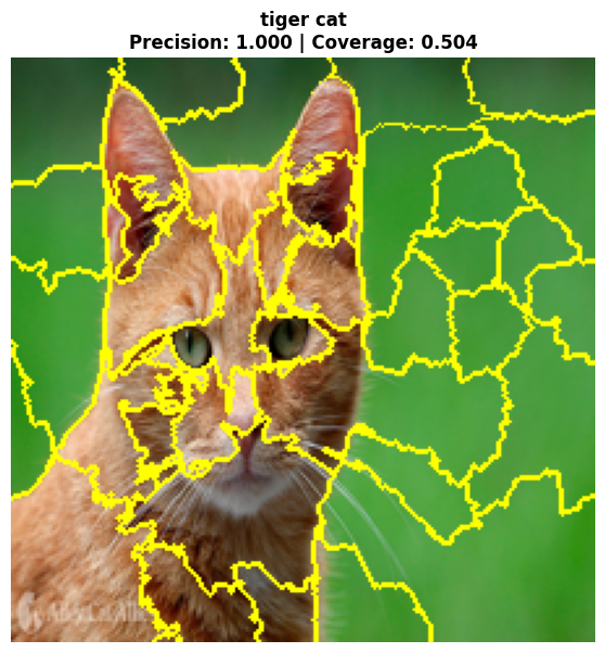 Anchor visualization for ResNet50 prediction