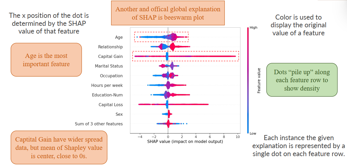 Mô tả cho Global Explanation