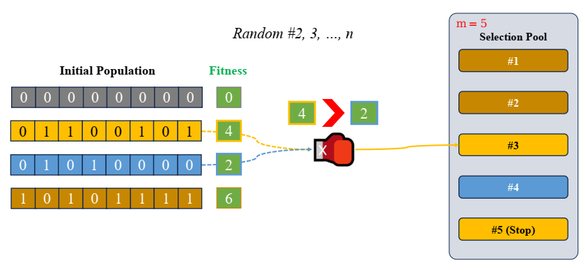 Lặp lại quá trình chọn lựa cá thể ngẫu nhiên