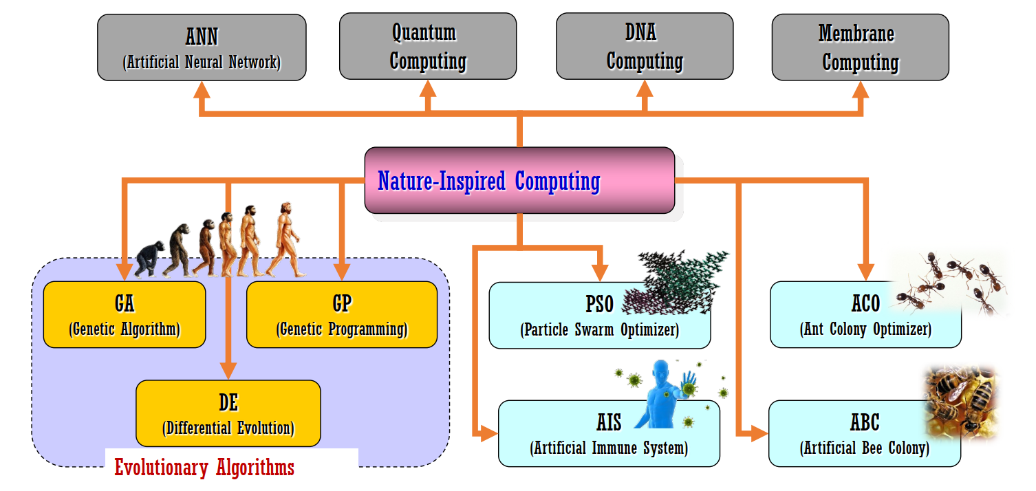 Minh họa cho thuyết tiến hóa của Darwin
