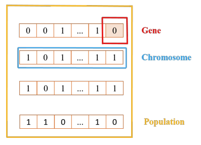 Ảnh về Gen, Chromosome, Population trong GA