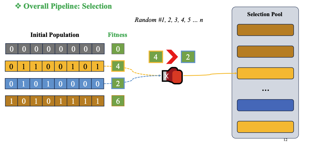 Ảnh về Selection trong GA