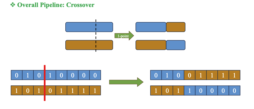 Ảnh về Crossover của Genetic Algorithm