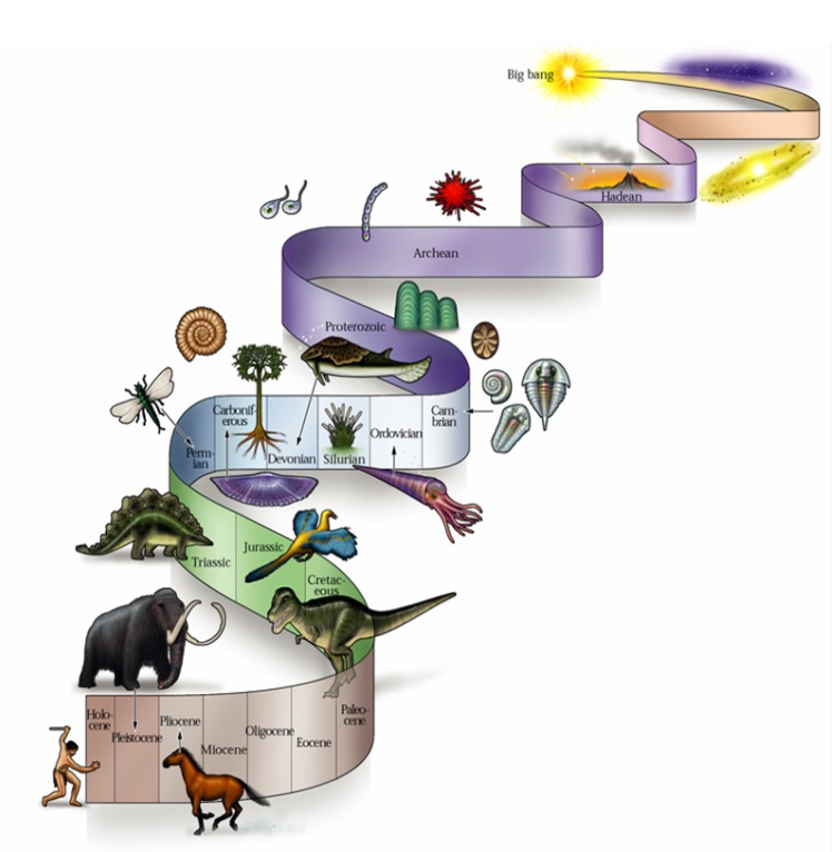 Screenshot 2025-10-24 161017.png