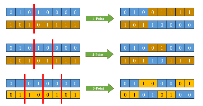 Alt text for the image