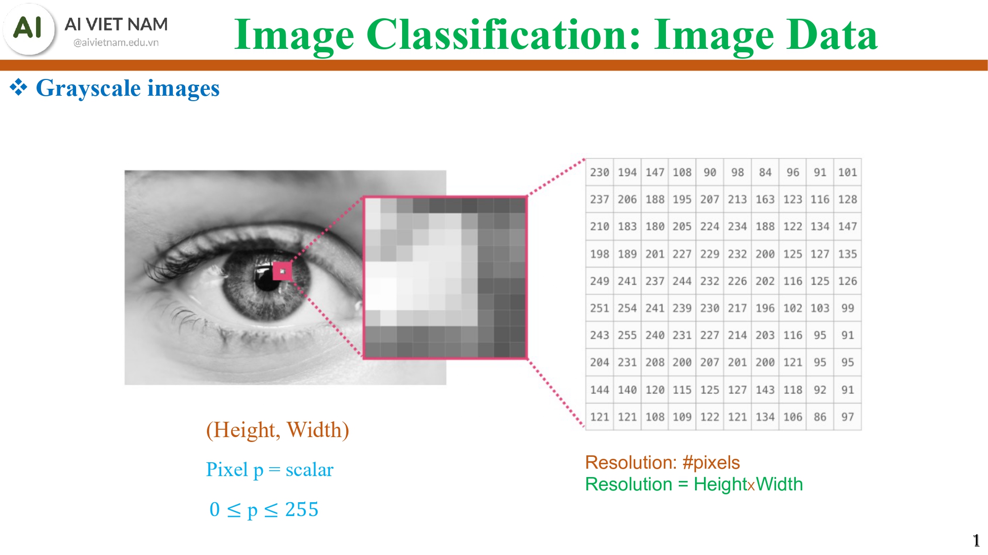 Giải phẫu Mạng Nơ-ron (MLP): Kiến trúc, Toán học và Nghệ thuật Tối ưu hóa