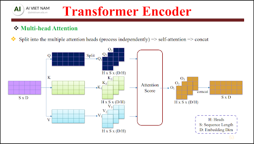Multi-Head Attention – Một góc nhìn là không đủ