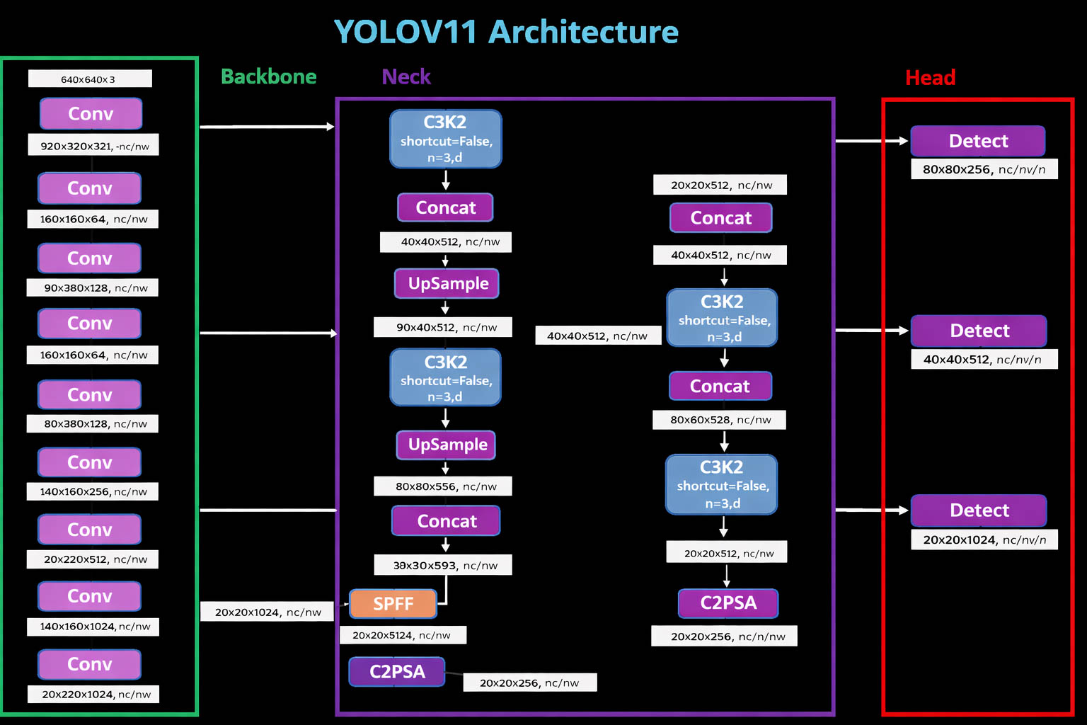 Figure 2. YOLOv11 model architecture